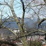 Bergziege *