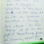 Bergziege *