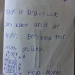 Bergziege