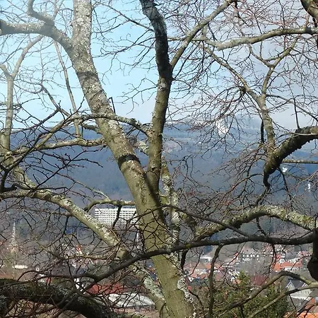 Bergziege *