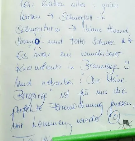 Bergziege *