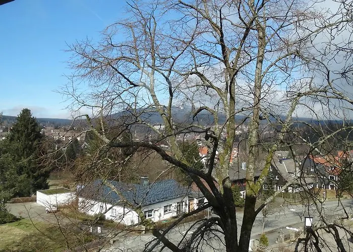 Апартаменты Bergziege Браунлаге