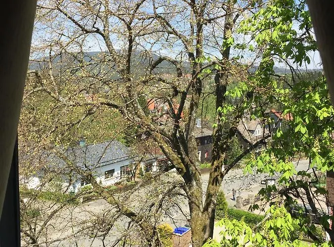 Bergziege Браунлаге