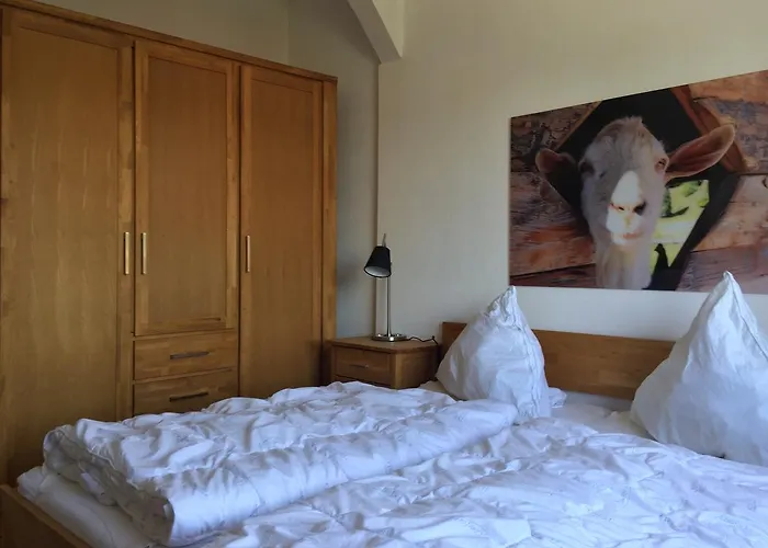 Bergziege Апартаменты *