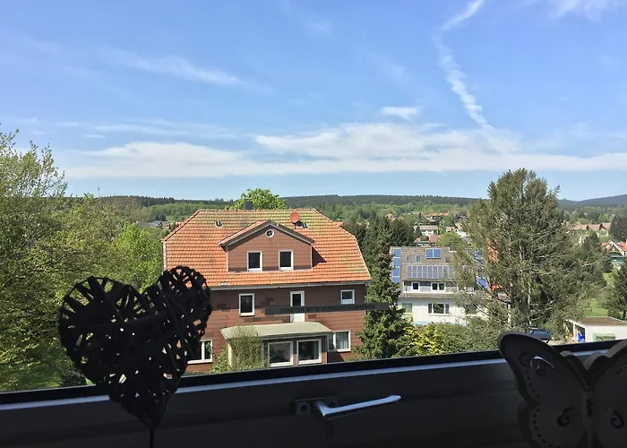 Bergziege Апартаменты *