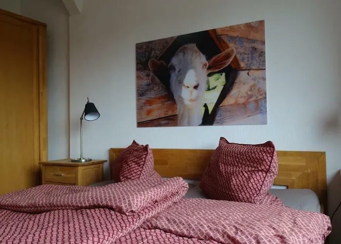 Апартаменты Bergziege Браунлаге